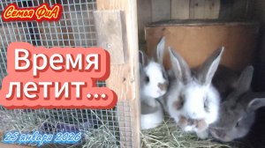 Время летит... Из Германии в Россию.