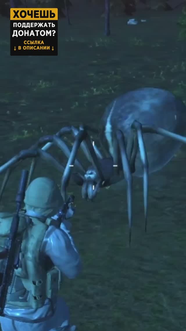 Лапки Торфяного. Блин, неплохо. Stay Out. #СталкерБаннерщик #stayout #stalkeronline смотреть онлайн