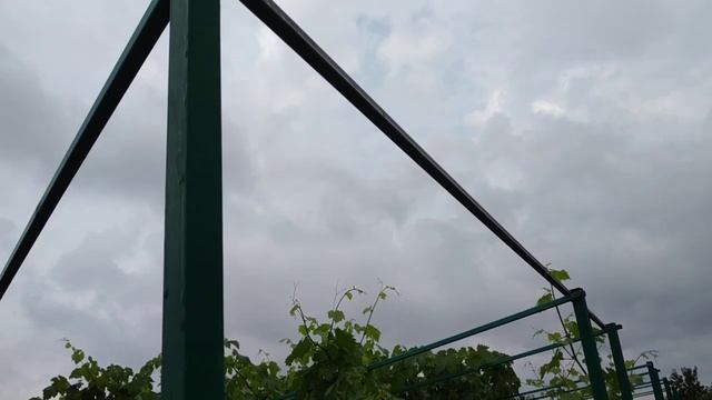 Виноград. Устройство шпалер. смотреть онлайн