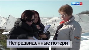 21.10- «Вести. Адыгея» от 30.01.2026г.