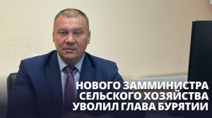 Нового замминистра сельского хозяйства уволил глава Бурятии