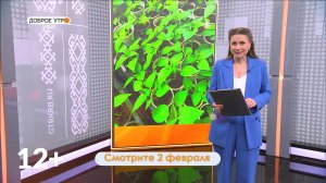 В программе "Доброе утро, Уфа!" обсудим подготовку к дачному сезону