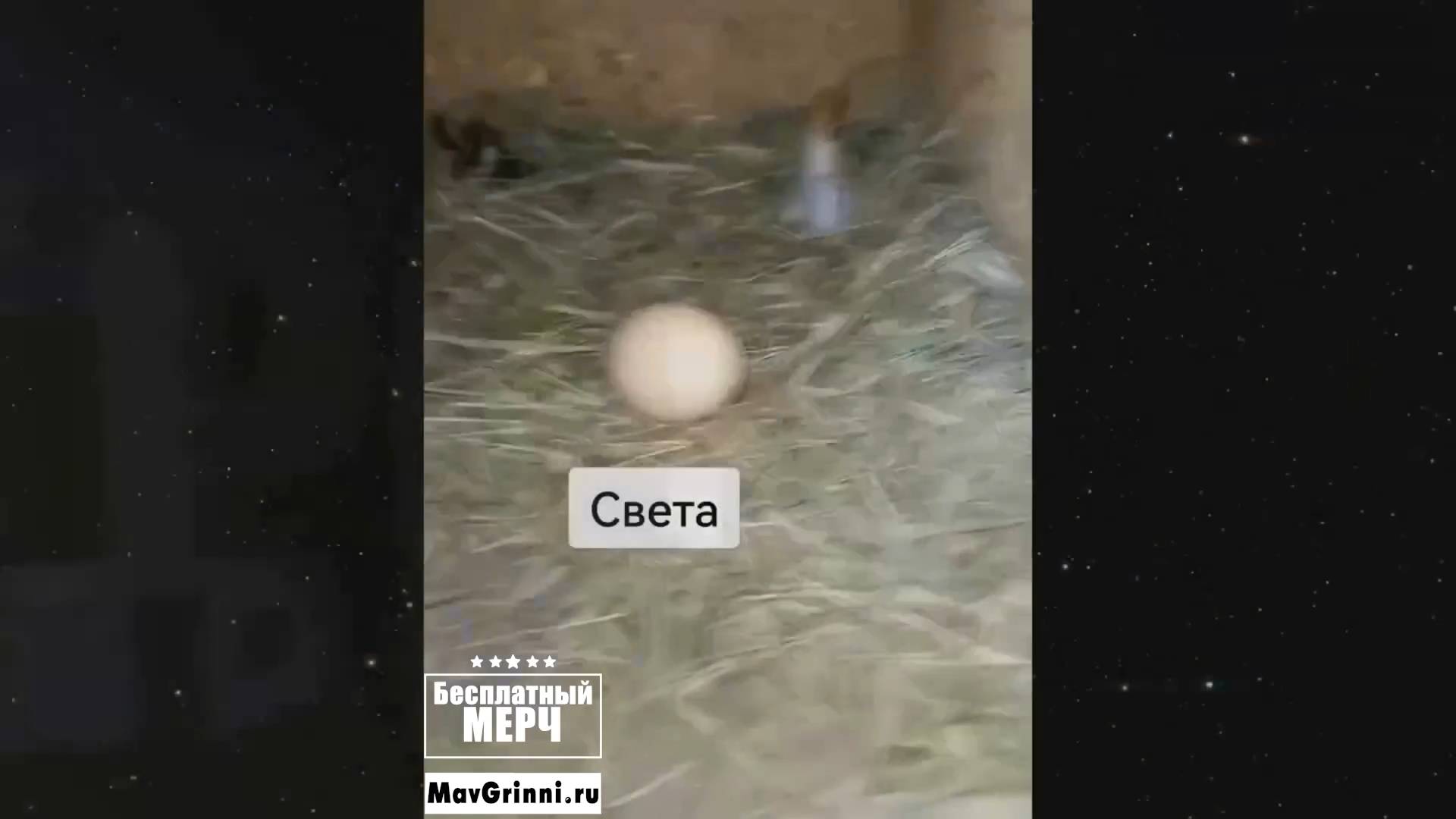 ЭТО БЕЗУМИЕ! Угарная подборка приколов НЕ ПЕЙТЕ ВОДУ ПЕРЕД ПРОСМОТРОМ!Ржака!Лол!Топ Смех Видео №6079