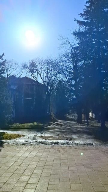 Ессентуки 30-01-2026 Курортный парк смотреть онлайн