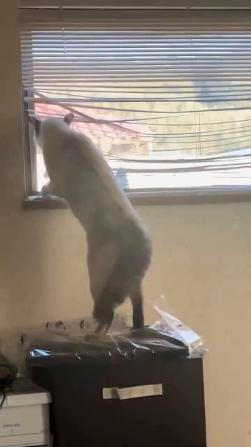 Да я спокоен!!!