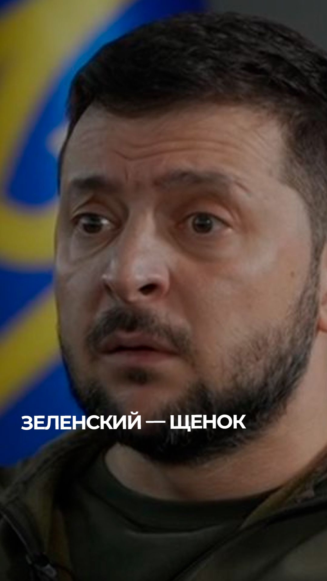 Самые искренние пожелания украинцев своему президенту Зеленскому #политика #анализ #ЧёЗа #зеленский смотреть онлайн