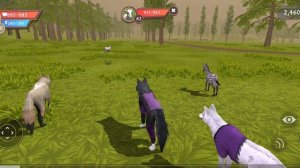 Отзывы Вилл крафт