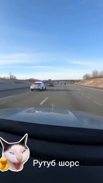 БОЛОТО ФИЛЬМОВ