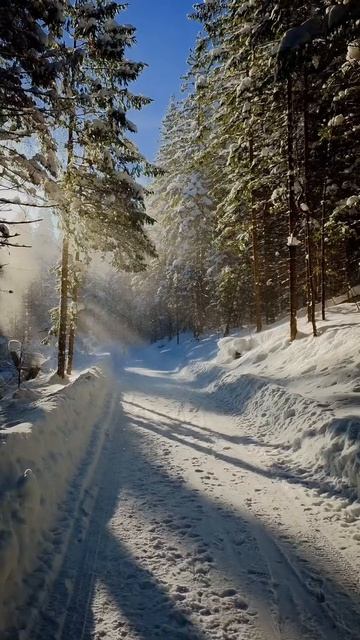 ЗИМА -ЭТО ОДНА БОЛЬШАЯ ВОЛШЕБНАЯ СКАЗКА. смотреть онлайн