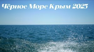 Осенние Виды Чёрного Моря АЛУШТА КРЫМ 2025