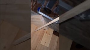 1000047345.mp4 (Собака наблюдает за устройством лестницы на 2 этаж в доме А-фрейм)