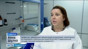 Современные биотехнологии помогают аграриям на Ставрополье