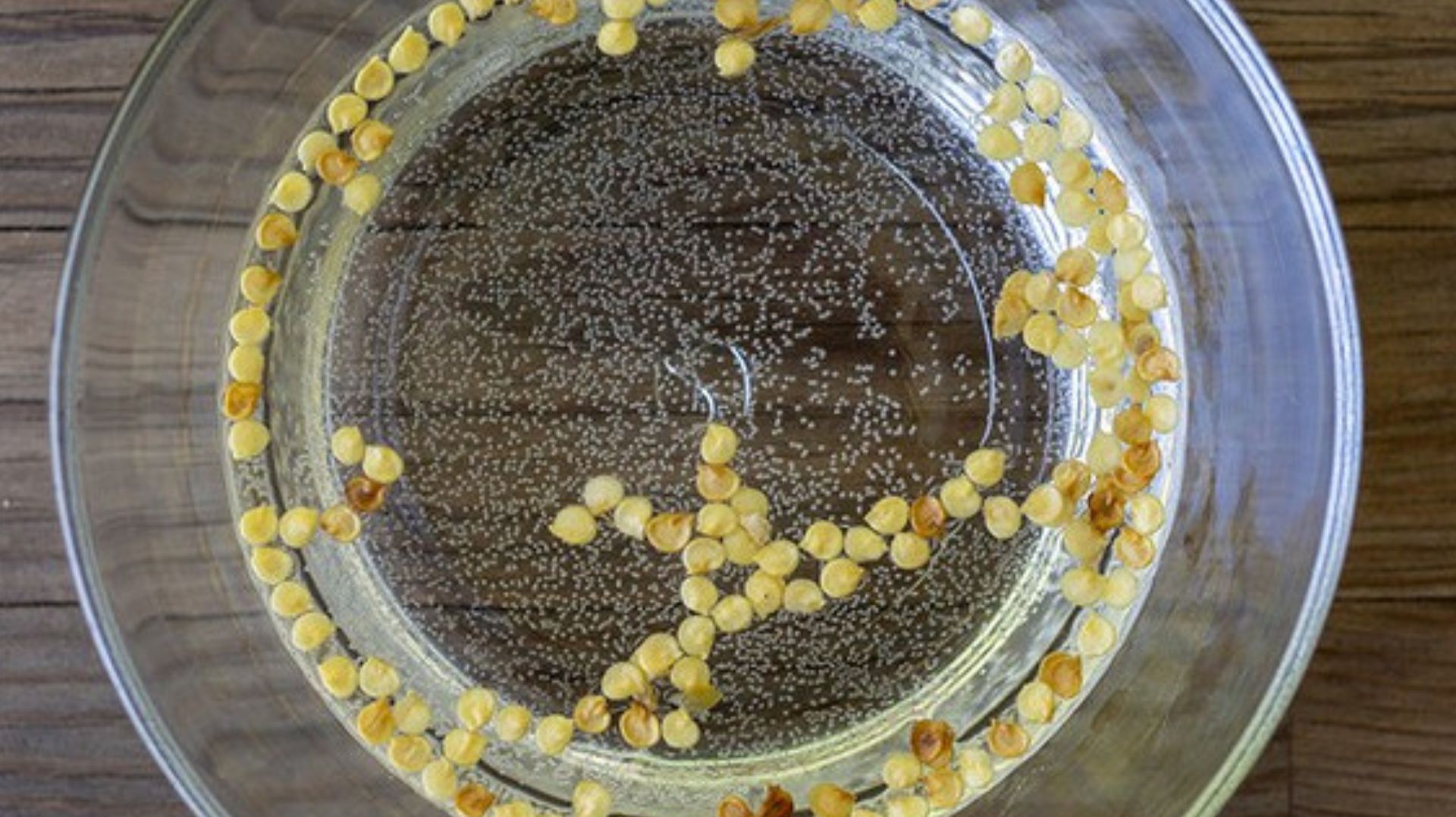 5 ошибок садоводов, из-за которых не всходят семена смотреть онлайн