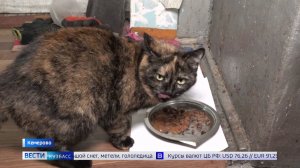 Обжигающе ледяные полы и стены: почему кемеровчан не расселяют, даже когда вышли все сроки?