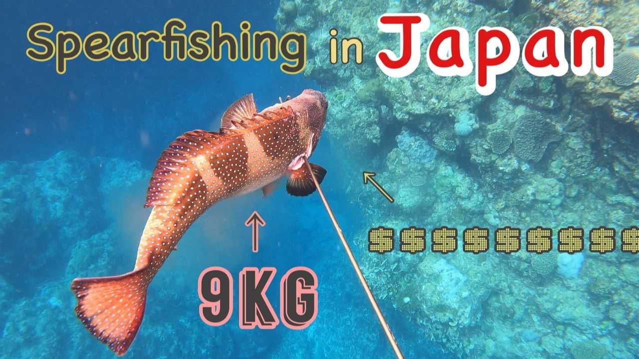 Подводная охота / Вы слышали об этой ценной рыбе? смотреть онлайн