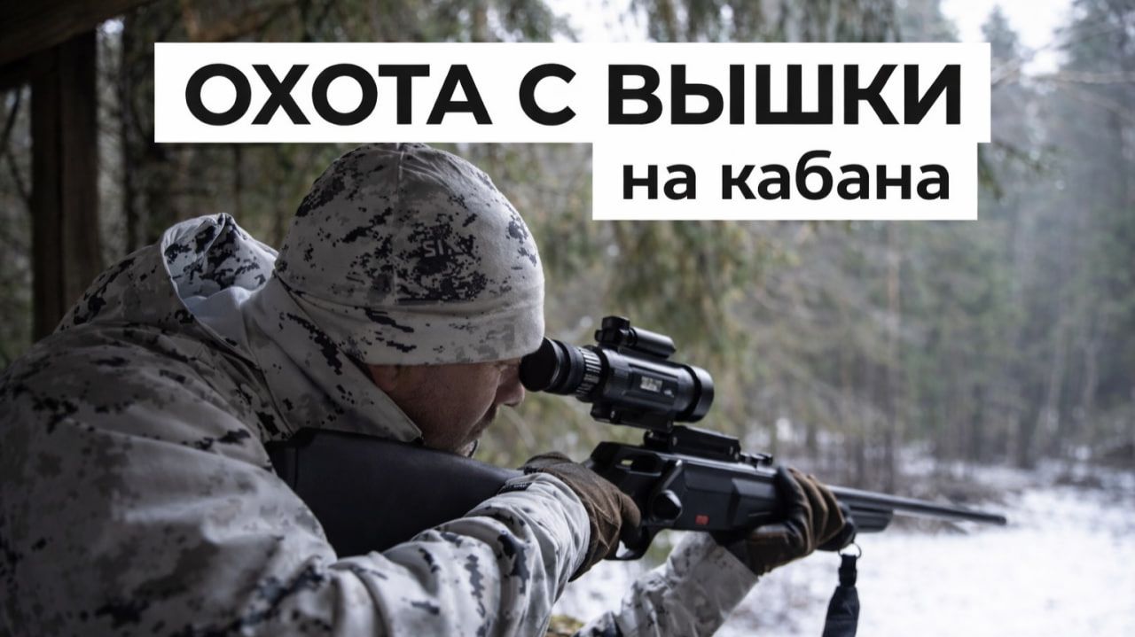Охота с вышки на кабана смотреть онлайн