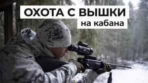 Охота с вышки на кабана