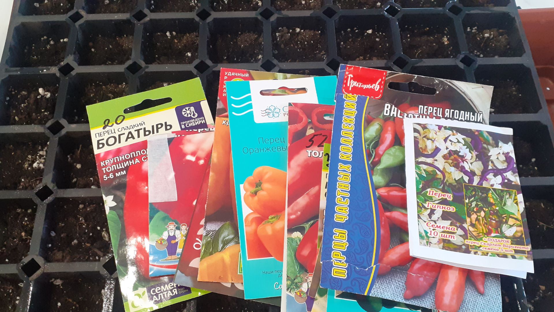 30.01.2026 Все перцы посеяны. смотреть онлайн