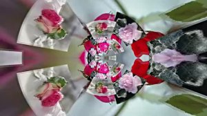 Волшебная Зимняя розовая сказка 4 от Киностудии Мудрого Кота Тимофея!