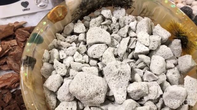 Грунт для орхидей. Органический и неорганический субстракт. В какой грунт лучше не сажать орхидеи. смотреть онлайн