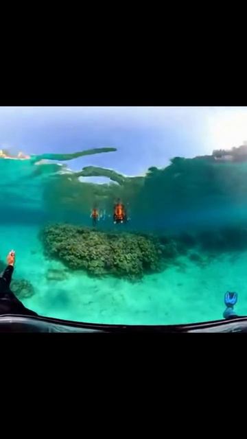 невероятная красота подводного мира дайвинг египет кораловыерифы