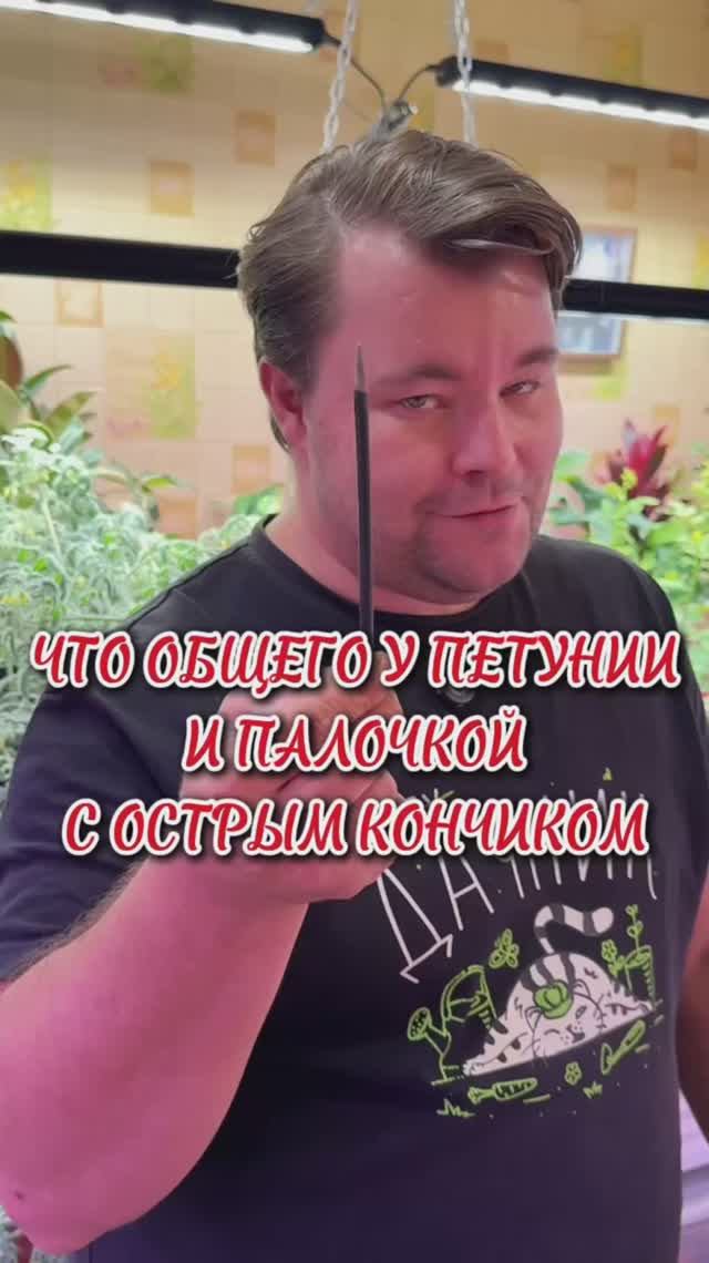 Приспусти петунию, если у нее высокая ножка. смотреть онлайн
