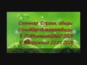 6 Семинар  Страхи обиды  Плоть и кровь  Е Попружный
