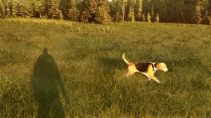 Трейлер Way of the Hunter 2 (анонс)