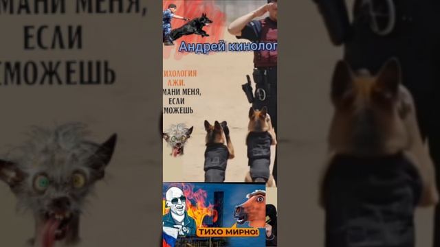 Разносы от Савелия смотреть онлайн