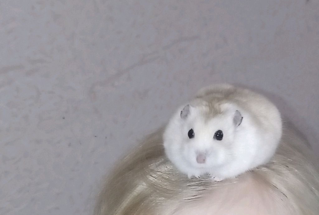 Уборка смотреть онлайн