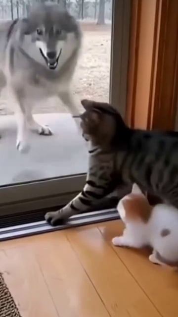 Пшол вон смотреть онлайн