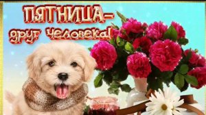 Зажигательный танец о Волка Пятница! Ура Скоро выходные!