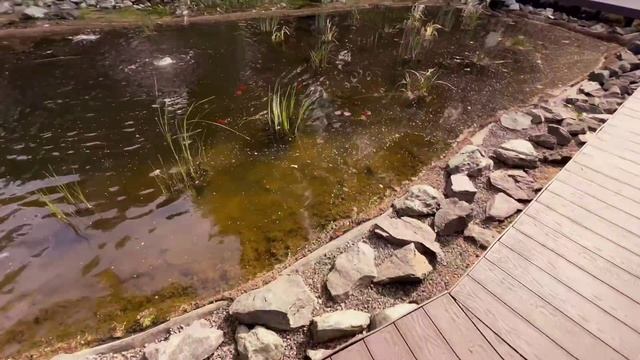 Ресторан КЕДР Отель "Zaytsevo Country Club" / Зайцево Кантри Клаб смотреть онлайн