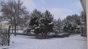 Отчёт Январь СП Носочная коробочка 2026 с Катериной Шурм