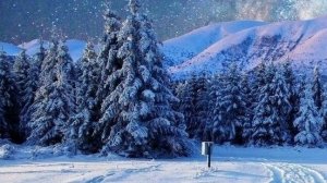 30-01-2026 Жизнь в деревне 🏡. На кухне.