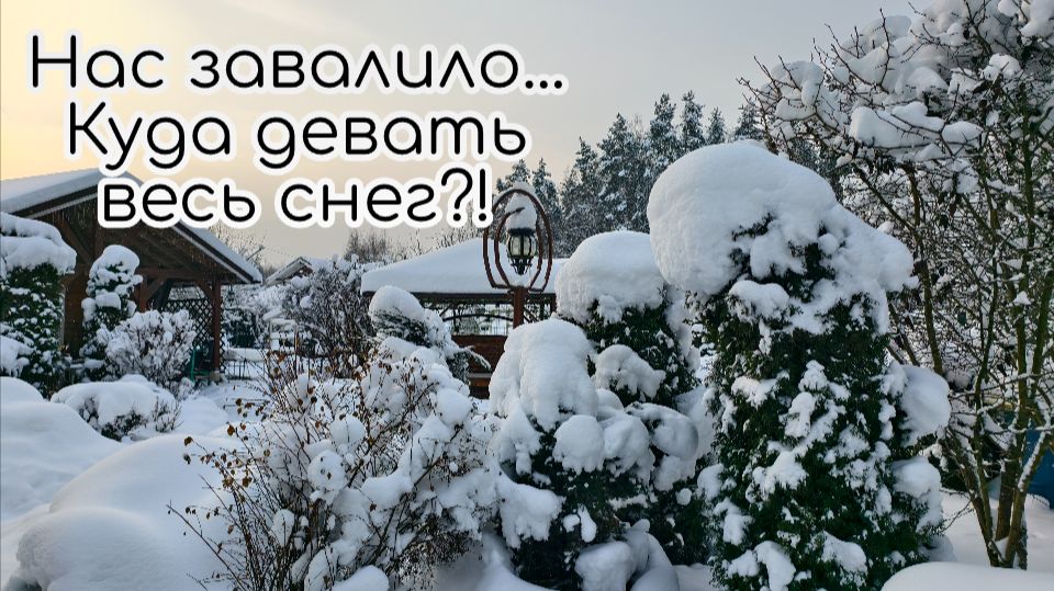 Ужас! Нас завалило...Куда девать весь снег?! Влог из зимнего сада смотреть онлайн
