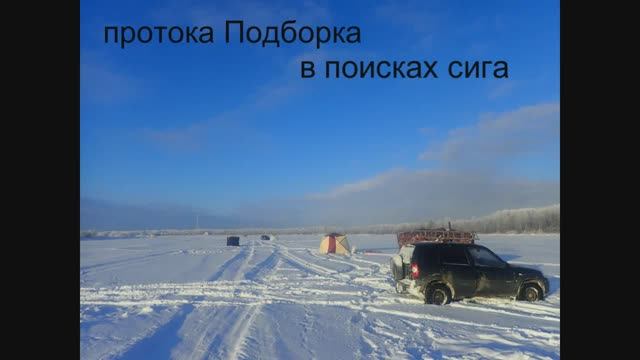 протока Подборка в поисках сига смотреть онлайн