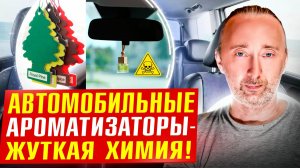 Чем заменить вредные ароматизаторы для Авто?