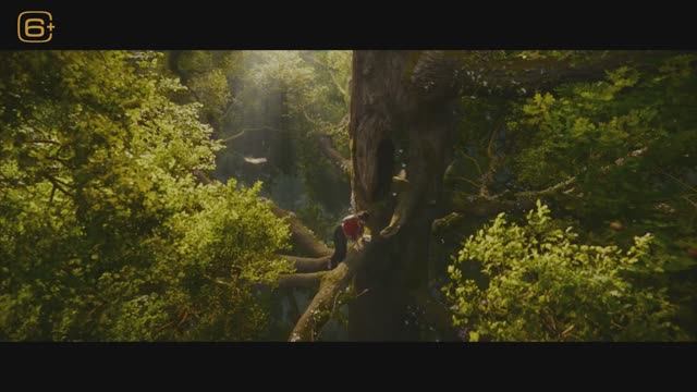 Вверх по волшебному дереву смотреть онлайн