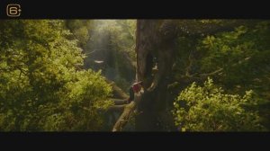 Вверх по волшебному дереву