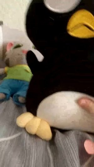 30-01-2026 эфир 2