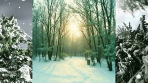 Парчой укрыла все поля.