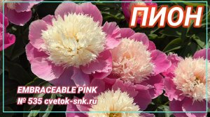 Травянистый "EMBRACEABLE PINK"/Сад Ворошиловой