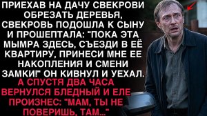 ПРИЕХАВ НА ДАЧУ, СВЕКРОВЬ ШЕПНУЛА СЫНУ: «СМЕНИ ЗАМКИ В ЕЁ КВАРТИРЕ!» — А ВЕРНУВШИСЬ: «МАМ, ТАМ...