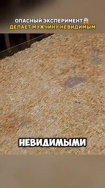 Краткий пересказ фильма смотреть онлайн