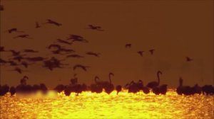 КРАСИВАЯ РАССЛАБЛЯЮЩАЯ МУЗЫКА ДЛЯ ДУШИ УСПОКАИВАЮЩАЯ МУЗЫКА ДЛЯ СНА