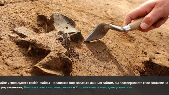 Останки пропавшего 10 лет назад подростка в США идентифицировали с помощью ДНК смотреть онлайн