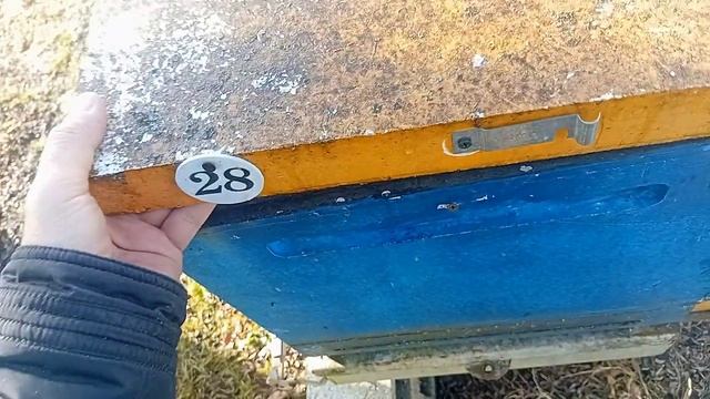 Положение дел на пасеке в конце января смотреть онлайн