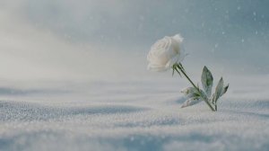 СНЕЖНАЯ ЗИМА