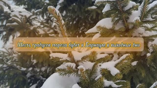 Шесть градусов мороза будет на территории Барнаула в выходные дни